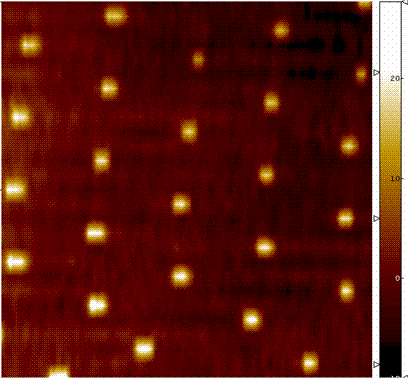 Quadrature feedback imaging of a nanoscale array of gold dots on an insulating substrate with STM. E