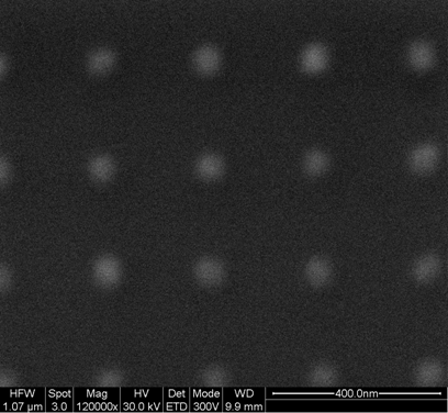 Scanning electron microscope image of the same array. The QFI image has a tilt which makes squares l